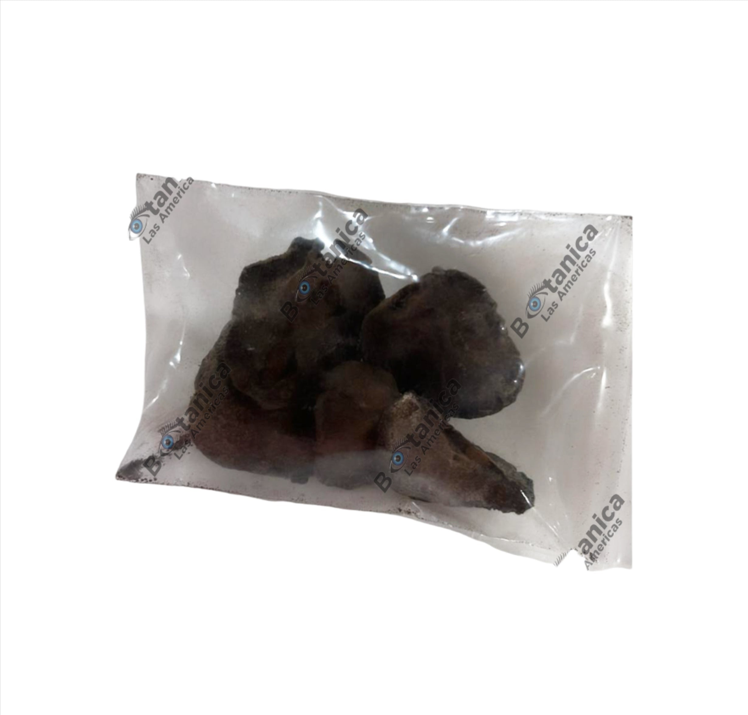 KOLA