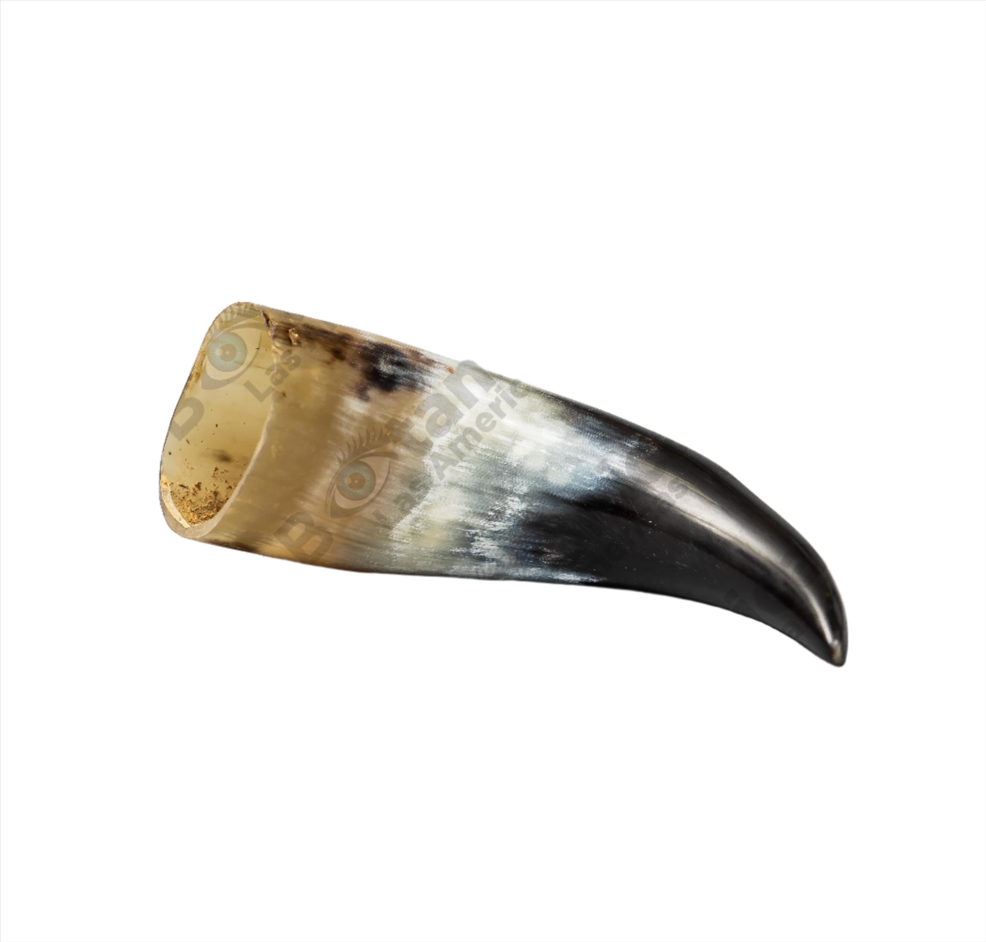 TARRO O CUERNO  6"-8" long