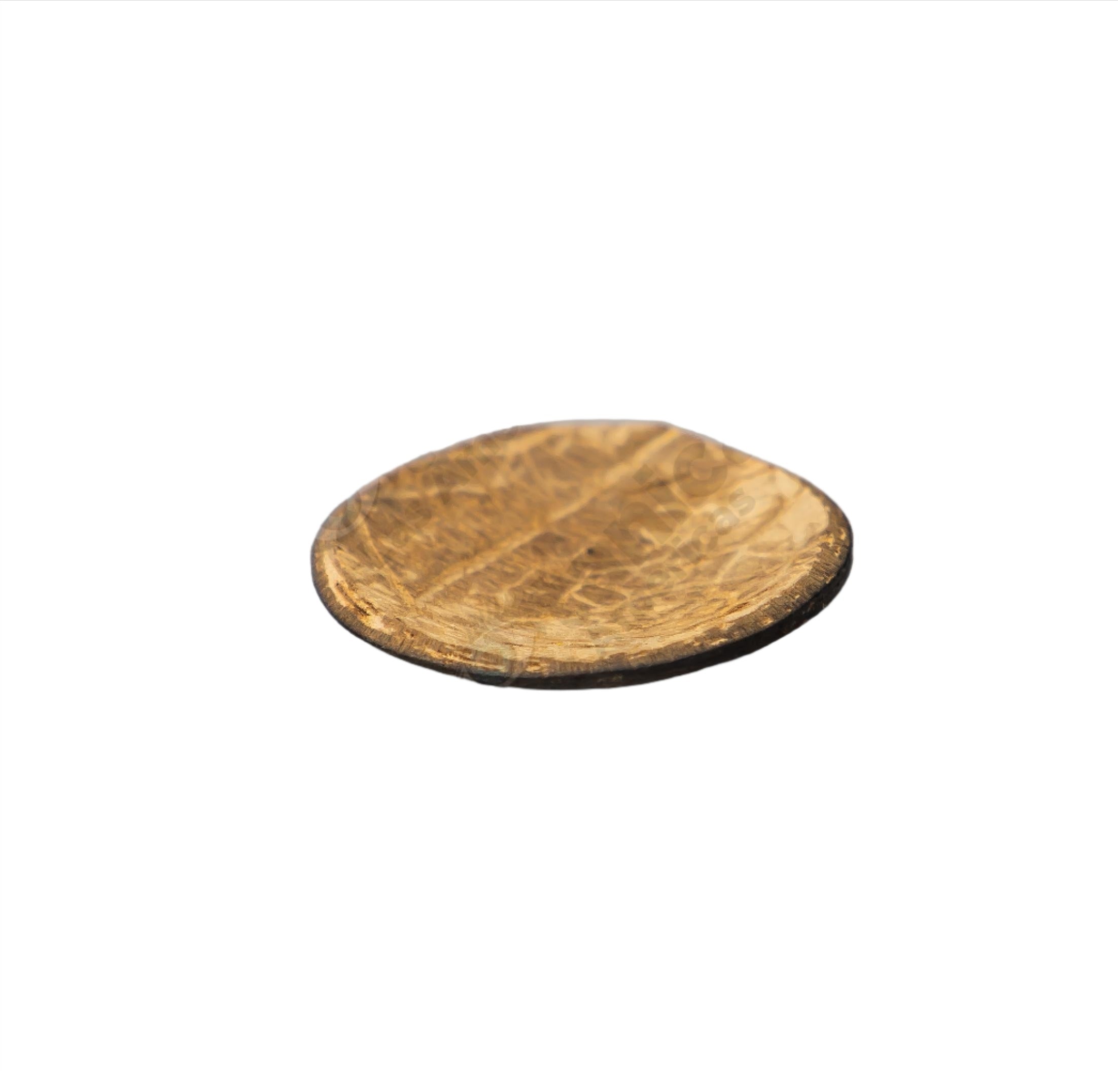 CHAMALONGOS ( 1 UNIT)
