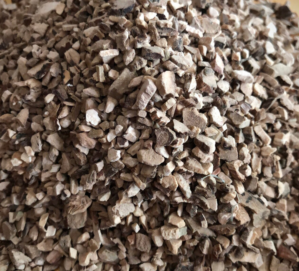 Calamus Root