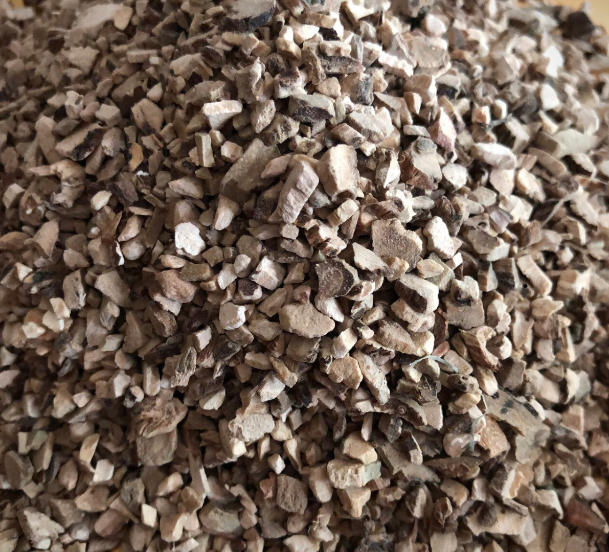 Calamus Root