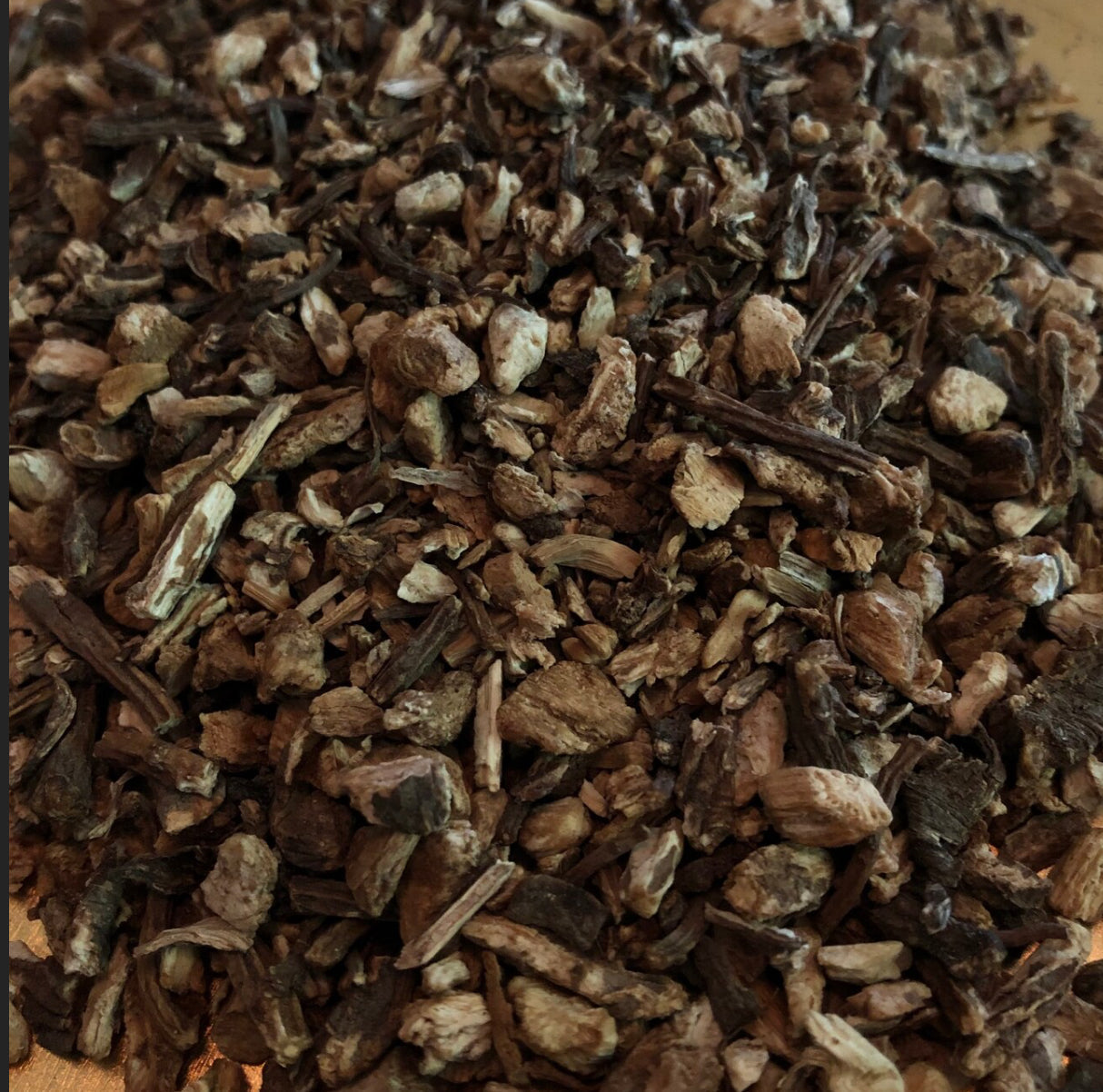 Angelica Root