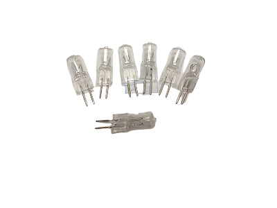 Light Bulb - for Glass Lamps (1 Dozen)