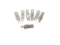 Light Bulb - for Glass Lamps (1 Dozen)