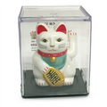Stick on Lucky Cat in a Display Box