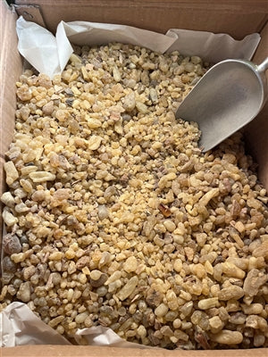 Gum Olibanum Dalzielii (Origin: Nigeria) 1 lb, a variety of frankincense