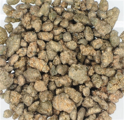 Gold Incense Resin Gum 1 lb