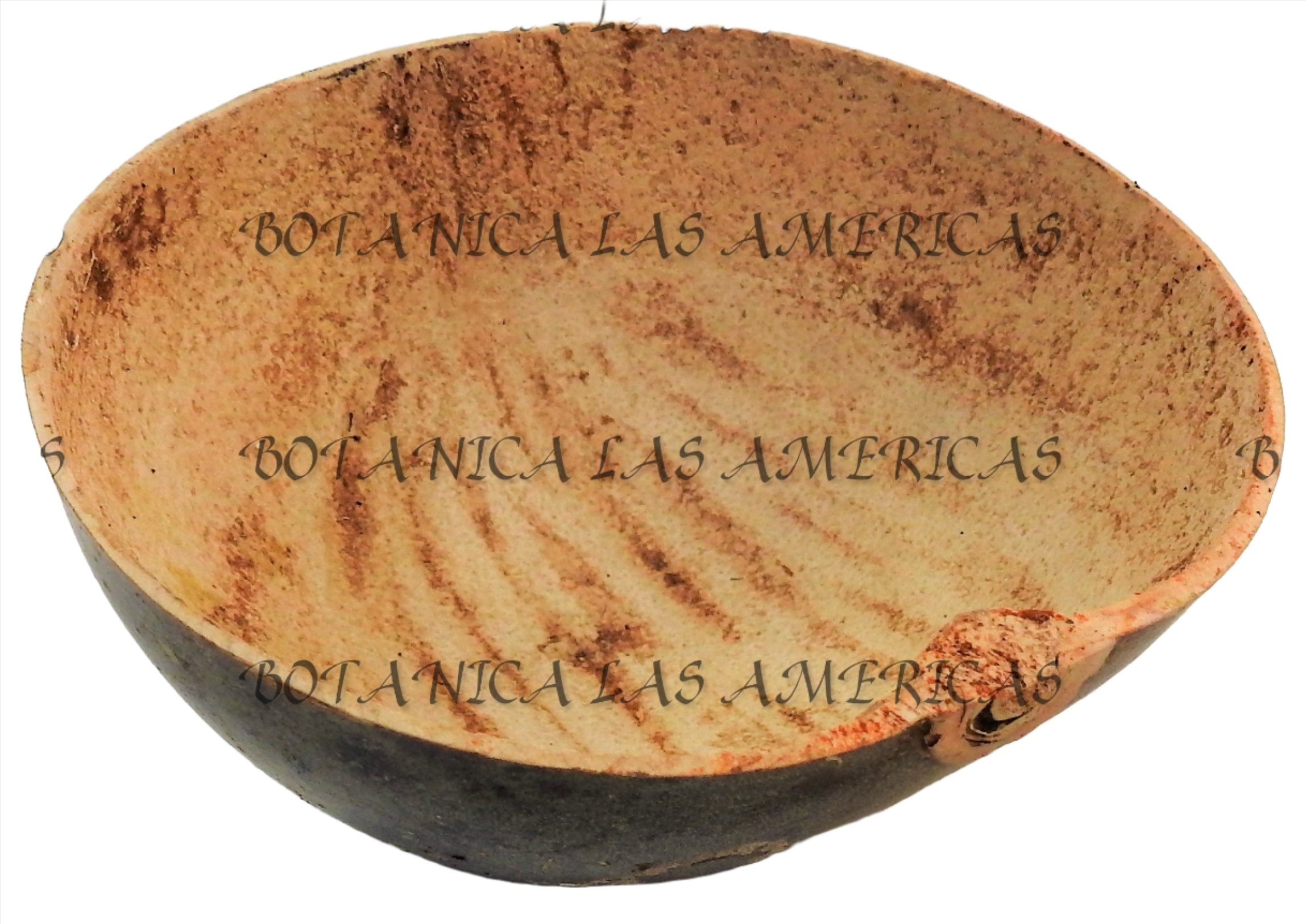 JICARAS MEDIANA