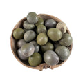 SEMILLA DE GUACALOTE O QUITA MALDICION